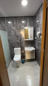 La salle de bains est pourvue de toilettes et d'un lavabo. dans l'établissement Albatros Apart Suite, à Istanbul