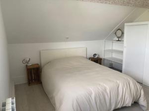 a bedroom with a white bed in a attic at Maison au calme in Nazelles