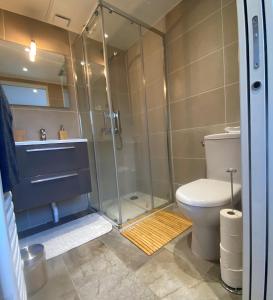 a bathroom with a shower and a toilet at LA BRIE COSY in Quincy-Voisins