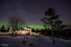 une image des lumières du nord dans le ciel dans l'établissement Gîte Aux Jardins De L'Anse, à Percé