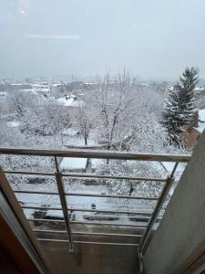 Blick auf ein schneebedecktes Feld mit Bäumen in der Unterkunft Apartment on Arkhipenka with Panorama View in Lwiw