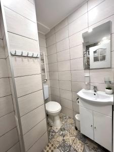 un baño con inodoro y lavabo en Salt Mine Retreat - Free Parking, en Turda 9 fotos más