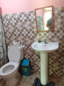 W łazience znajduje się toaleta, umywalka i lustro. w obiekcie Hostal Ebenezer w mieście Palmilla