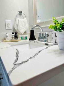 a bathroom counter with a sink and a mirror at Grey Novo Studio + free-parking&wifi in Tampa