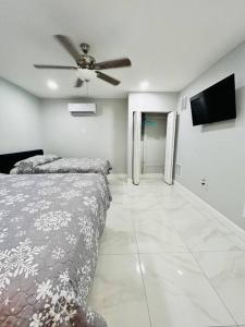 Grey Novo Studio + free-parking&wifi في تامبا: غرفة نوم بسريرين ومروحة سقف