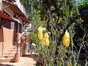 Chalés Van Gogh في تيريسوبوليس: شجرة بالورود الصفراء أمام المنزل