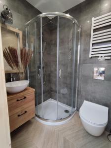 a bathroom with a shower and a toilet and a sink at Jagodowe Domki in Ciche