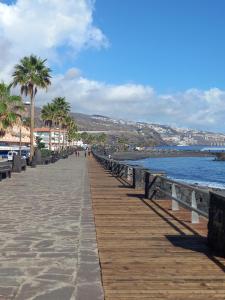 a wooden boardwalk next to the ocean with palm trees at Apartamento en Tenerife Islas Canarias in Candelaria