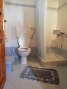 a bathroom with a toilet and a shower and a rug at Hotel Tymfi in Tsepelovo