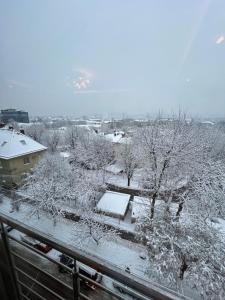 a snow covered yard with trees and a building at Apartment on Arkhipenka with Panorama View in Lviv