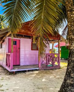 Cabaña privada en Guna Yala isla diablo baño compartido في Cagantupo: منزل وردي أمامه نخلة