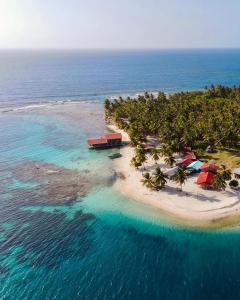 una isla en el océano con árboles y una playa en Cabaña privada en Guna Yala isla diablo baño compartido en Cagantupo