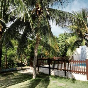 eine Palme neben einem Holzzaun in der Unterkunft Village Shalom Casa 6 - Porto de Sauipe in Porto de Sauipe + 14 Fotos