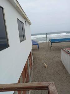 un cane steso sulla spiaggia accanto a una casa di Hospedaje Rulos: Playa Yaya Las Salinas Chilca a Salinas