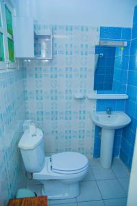 Baño azul con aseo y lavamanos en studio brasserie, en Pointe-Noire