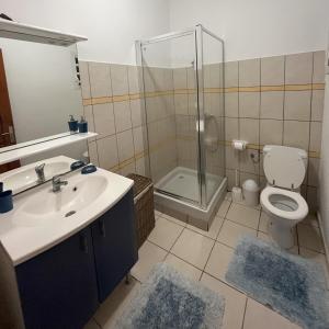 a bathroom with a shower and a toilet and a sink at SAPHIR-Villa Le Colibri in Dubédou +15 photos