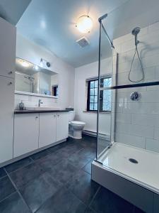 un bagno con doccia, lavandino e WC di Chalet Rustique CRDS Tremblant a Lac-Superieur