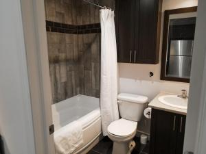 a bathroom with a toilet and a tub and a sink at Modern Loft Chute-Montmorency in Boischâtel