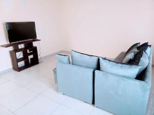 Alojamiento Familiar Varo في Arandas: أريكة زرقاء مع الوسائد في غرفة المعيشة