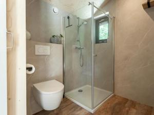 een badkamer met een douchecabine en een toilet bij Nature house on a beautiful and green domain in Kortgene