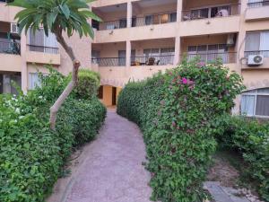 شاليه لاجونا باي السخنه Chalet at laguna bay Sokhna外面的花园
