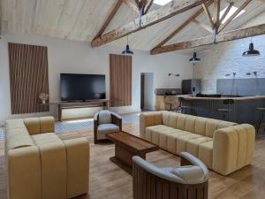 un salon avec deux canapés et une télévision dans l'établissement Maison lumineuse avec cuisine équipée, 3 chambres avec SDE & WC privatifs, garage et Wifi - Jarnac - FR-1-653-246, à Jarnac