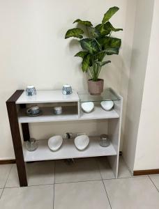 a shelf with toilets and a potted plant on it at Alquiler Oficina cooperativa in Guayaquil