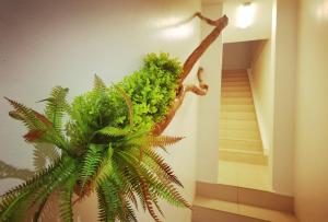 a plant on the wall next to a staircase at 2-Bedroom Suite near Kek Lok Si & Penang Hill, Dual key system in Ayer Itam