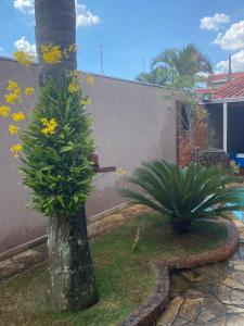een palmboom met gele bloemen in een tuin bij Recanto das Maritacas in Votorantim