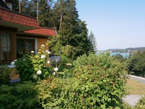 Příroda nedaleko bed and breakfast