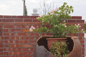 a plant in a pot on a brick wall at 拾穗 Ten again in Jinsha