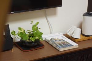 金沙鎮的住宿－拾穗 Ten again，木桌,上面有植物和书籍