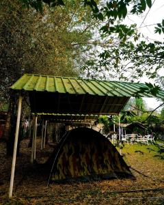 un pequeño refugio con un techo verde en el suelo en Dandeli Wild Jungle Resort, en Dandeli