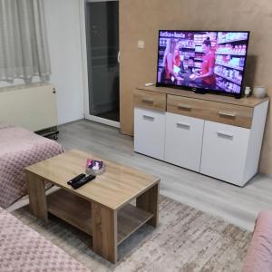 un soggiorno con TV e tavolino da caffè di Apartman Lenka a Sremska Mitrovica