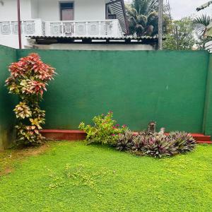 a green wall with plants and flowers in a yard at Jimmy House in Aluthgama