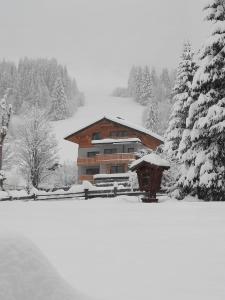 a house covered in snow in front of a snow covered yard at Zimmer & Appartements Schwarzenbacher Sonja & Konrad in Kleinarl