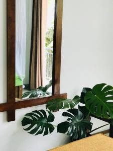un espejo en una pared con una planta delante en Nethu villa, en Galle