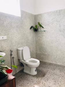 baño con aseo y planta en la pared en Nethu villa, en Galle