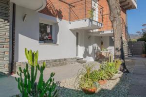 a house with plants in front of it at Villa Gerani in Bordighera