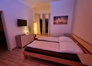 ein Schlafzimmer mit einem großen Bett und einem TV in der Unterkunft Apartment mit Whirlpool, Wasserbett & Sauna in Gelsenkirchen