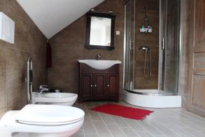 a bathroom with a toilet and a sink and a shower at Stunning Hills View Apartment Vransko in Vransko +21 photos