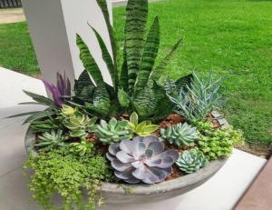 a planter filled with plants in a yard at Bed and Breakfast 430 in Islamabad