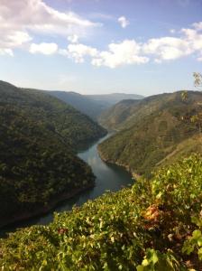 un río en medio de un valle en Pension Rustica-Caldelas Sacra, en Castro Caldelas