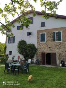 un chien debout dans l'herbe devant une maison dans l'établissement Stanza privata vicino a parma in casa rurale, à Pratoretto
