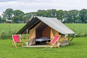 Zahrada ubytování TT Circuit Assen 2026 Glamping incl stroom