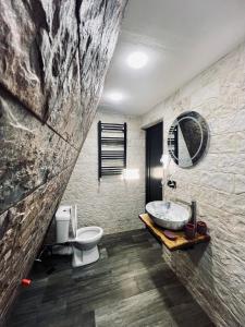 La salle de bains est pourvue d'un lavabo et de toilettes. dans l'établissement Arsha View, à Kazbegi