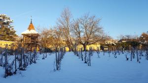 La ferme de Berlioz في La Côte-Saint-André: حديقة مغطاة بالثلج مع الأشجار وبرج