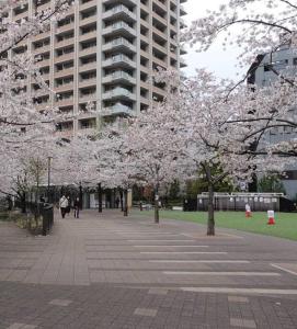 un parque con árboles en frente de un edificio en 駅徒歩5分！快適で贅沢、理想的なゲストルーム, en Tokio