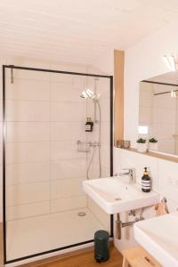 een badkamer met een douche en een wastafel bij Naturpanorama am Bodensee - Zuhause mit Seeblick! in Tettnang