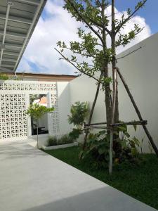 dziedziniec z drzewem i białym budynkiem w obiekcie Self house (Cozy private house) w mieście Hat Yai